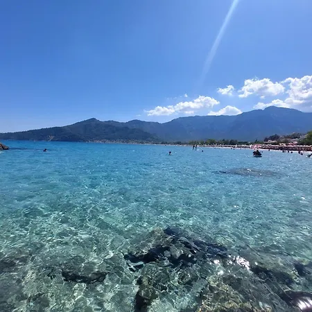 Nature Lovers-golden Chrysi Ammoudia