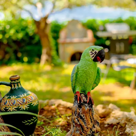 Nature Lovers-golden Chrysi Ammoudia