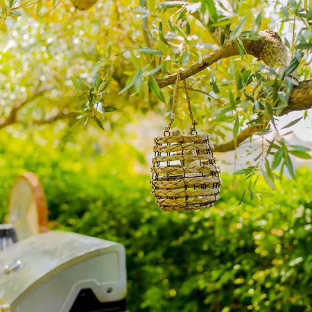 Nature Lovers-golden Apartamento *