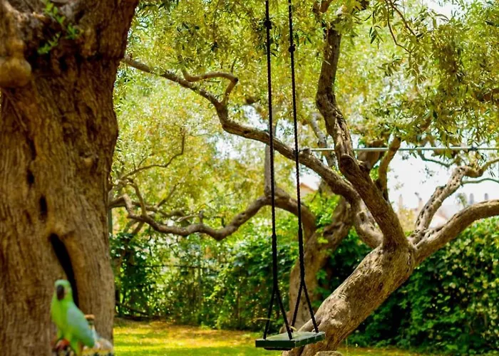 Apartamento Nature Lovers-golden